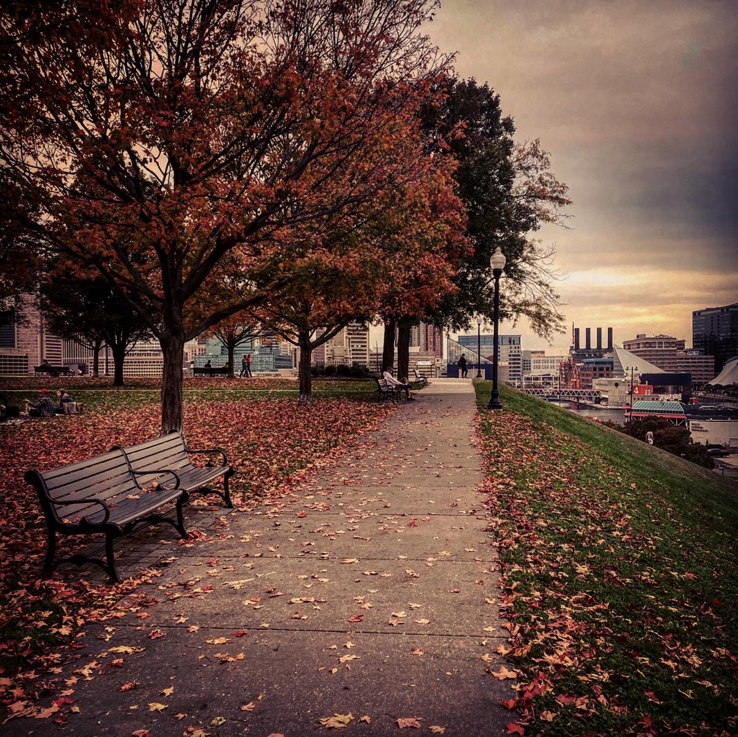 Riverside Autumn