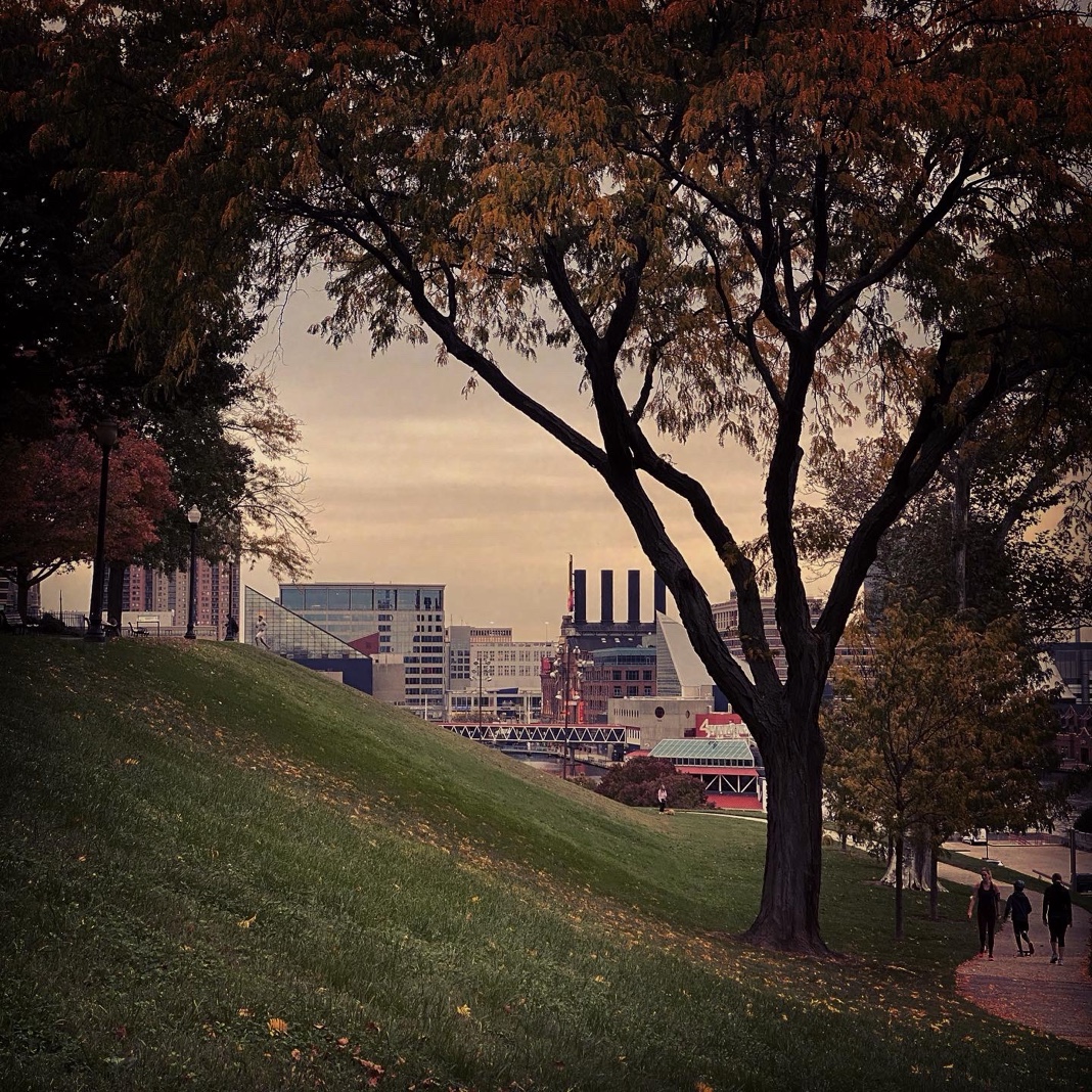 Harborview at Dusk